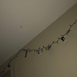 Meet your Posher, Layla